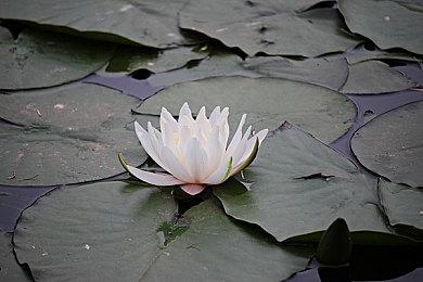 XGP 2023年内添加了价值近9000美元的游戏